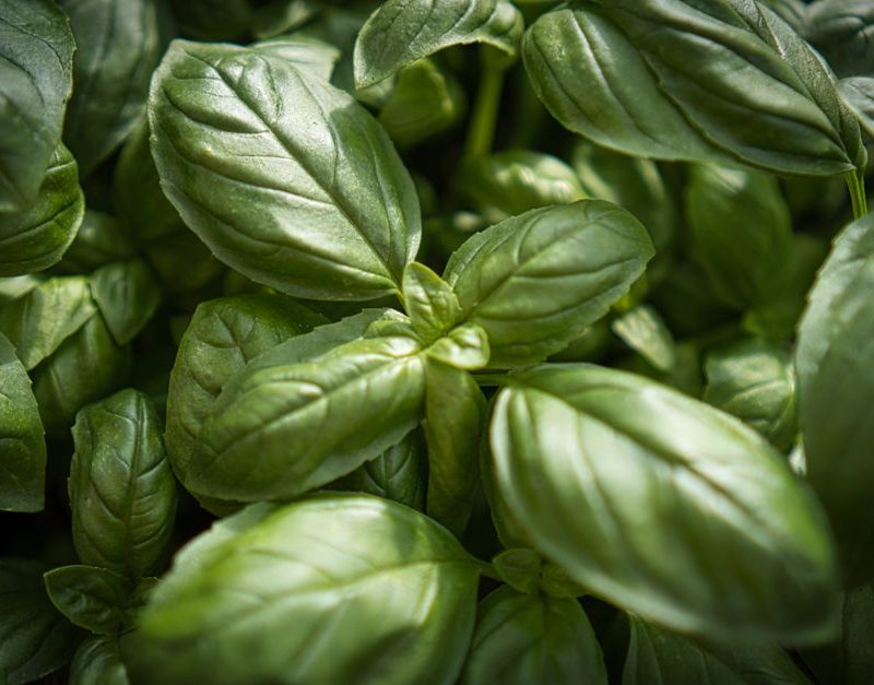 Easy Ways to Add Herbs to Everyday Meals Easy Ways to Add Herbs to Everyday Meals