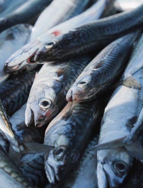 How to Eat More Oily Fish