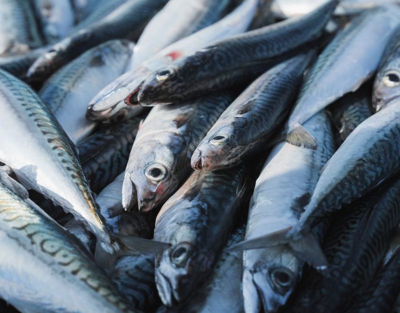 How to Eat More Oily Fish