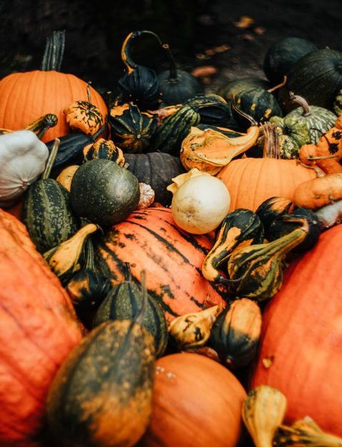 Making the Most of Autumn Produce