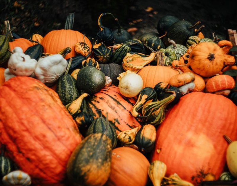 Making the Most of Autumn Produce