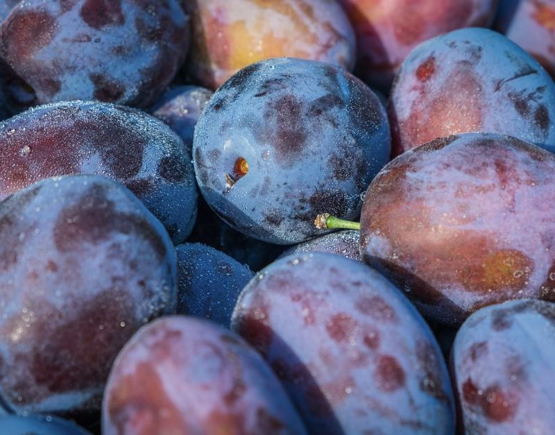 Plum and Almond Overnight Oats