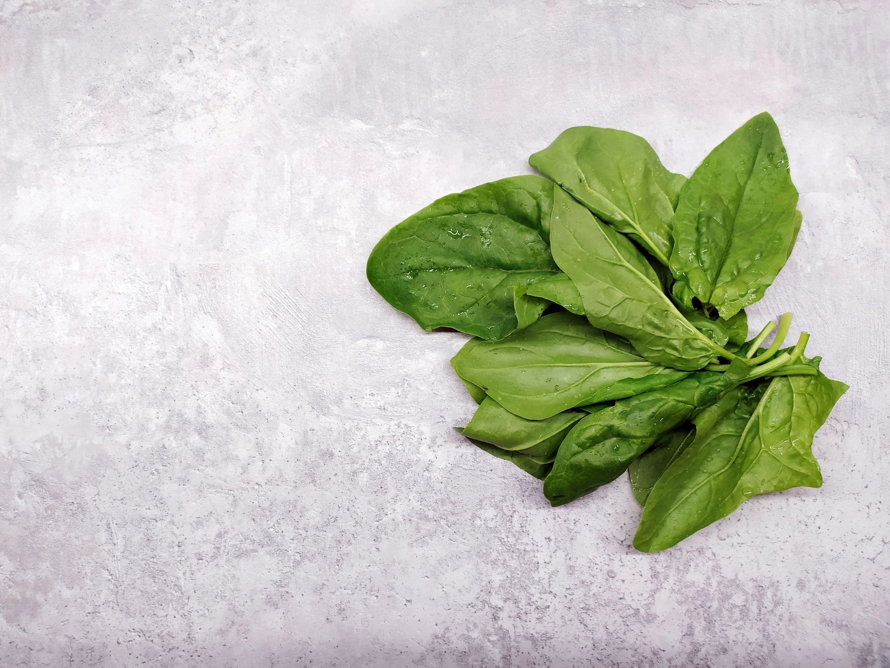 Fresh raw spinach leaves in a small bunch on a light gray textured surface.