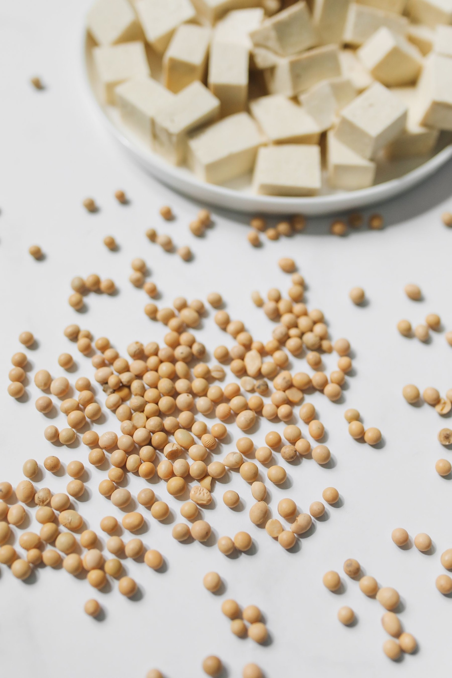 Diced tofu with scattered soybeans on a white surface.